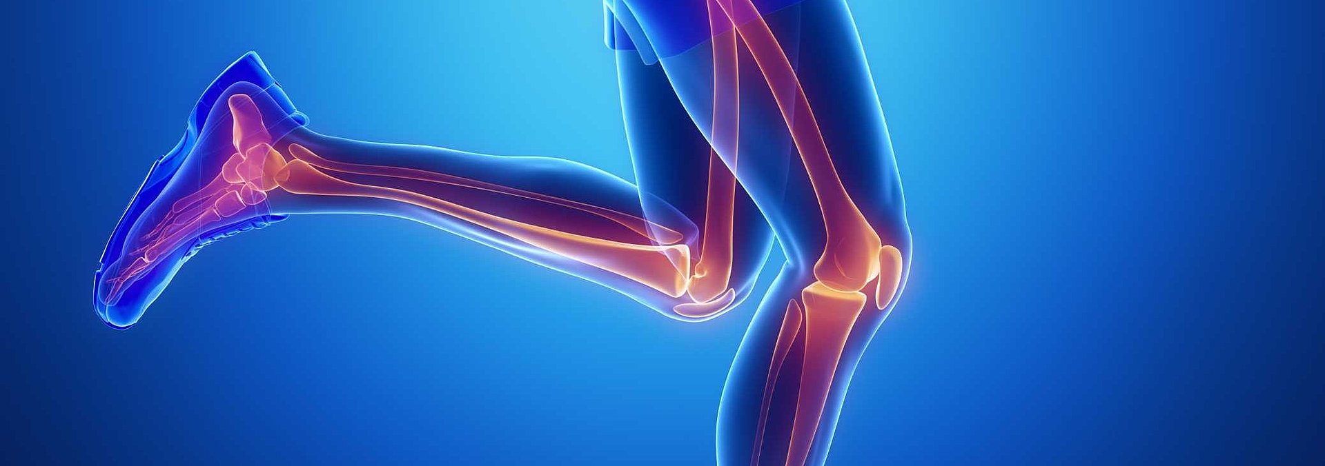 stilisierte Grafik eines Menschen mit Hervorheben orthopädischer Behandlungspunkte